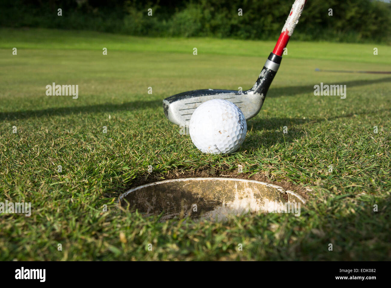 Golfer about to tap ball into hole on a golf course, UK. Stock Photo