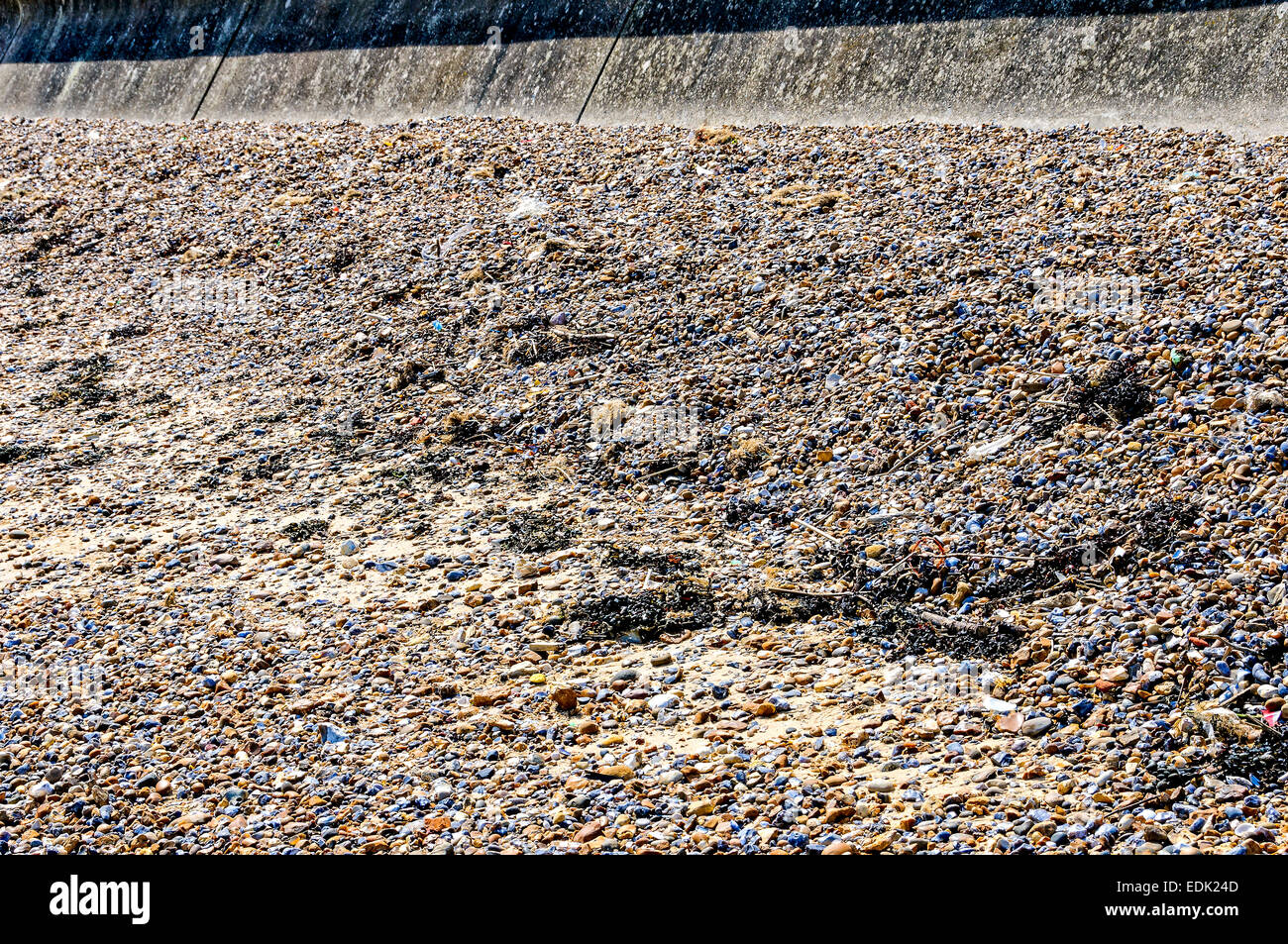 A concrete sea wall contains a banked shingle beach of reddish, blue and other coloured pebbles littered with dry seaweed Stock Photo