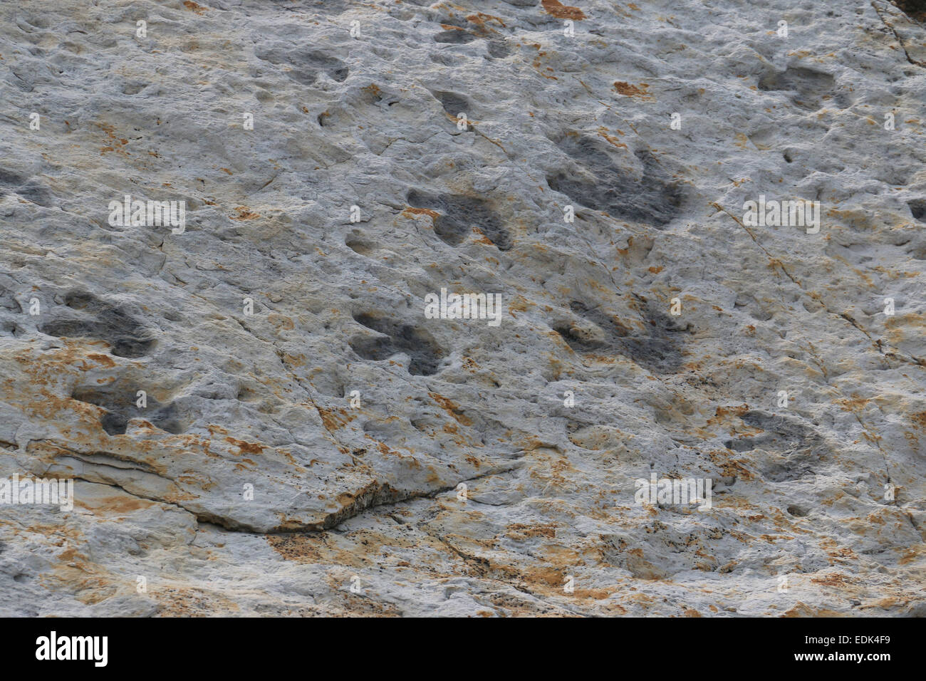 children looking at fossil Dinosaur footprints Colorado Dinosaur Ridge