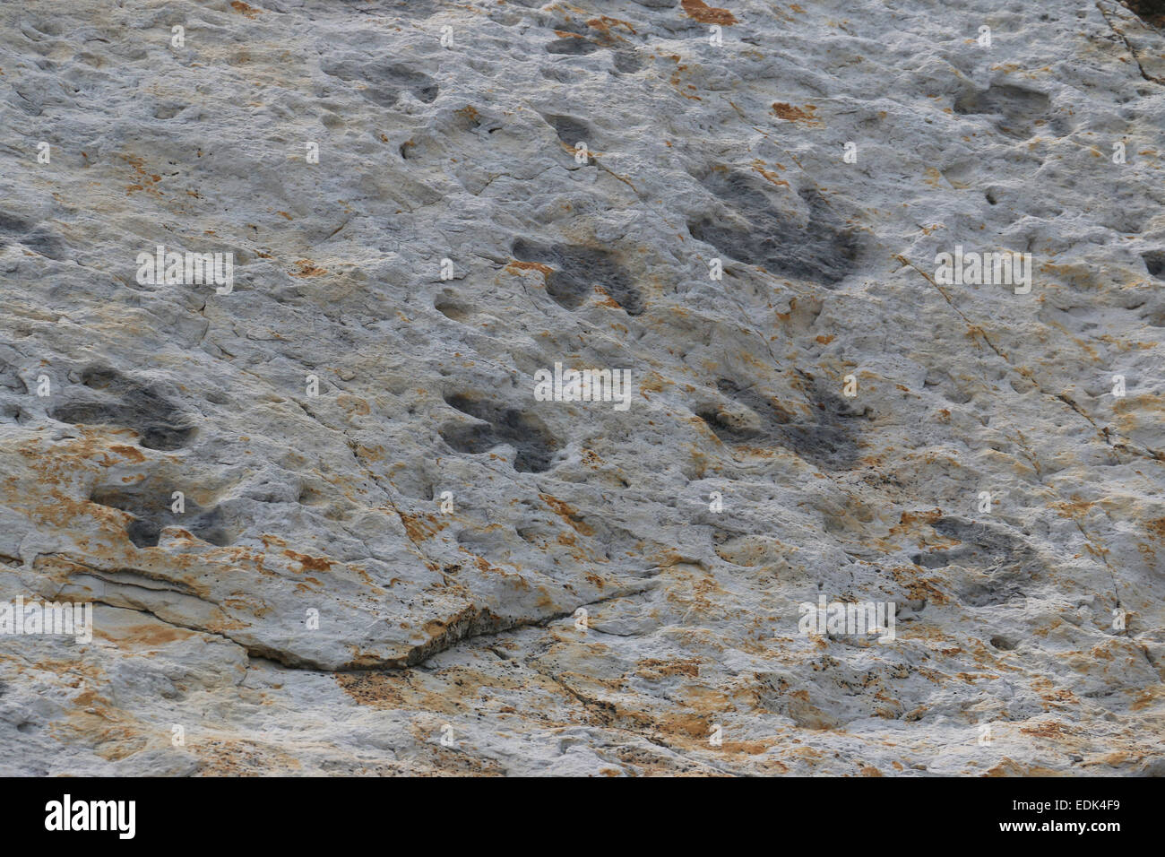 children looking at fossil Dinosaur footprints Colorado Dinosaur Ridge Stock Photo