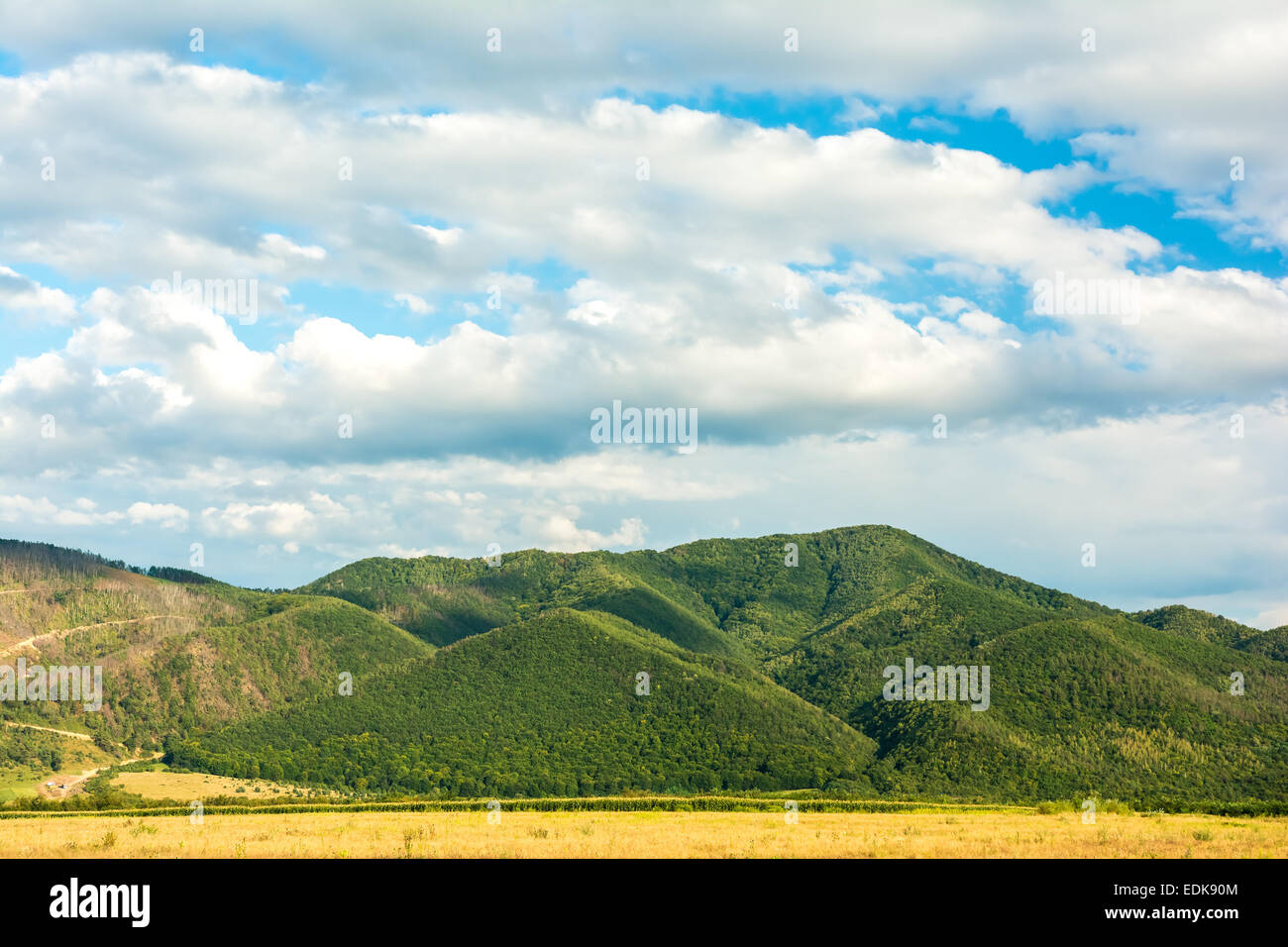 Carpathian Mountains Landscape With Blue Sky In Summer Stock Photo