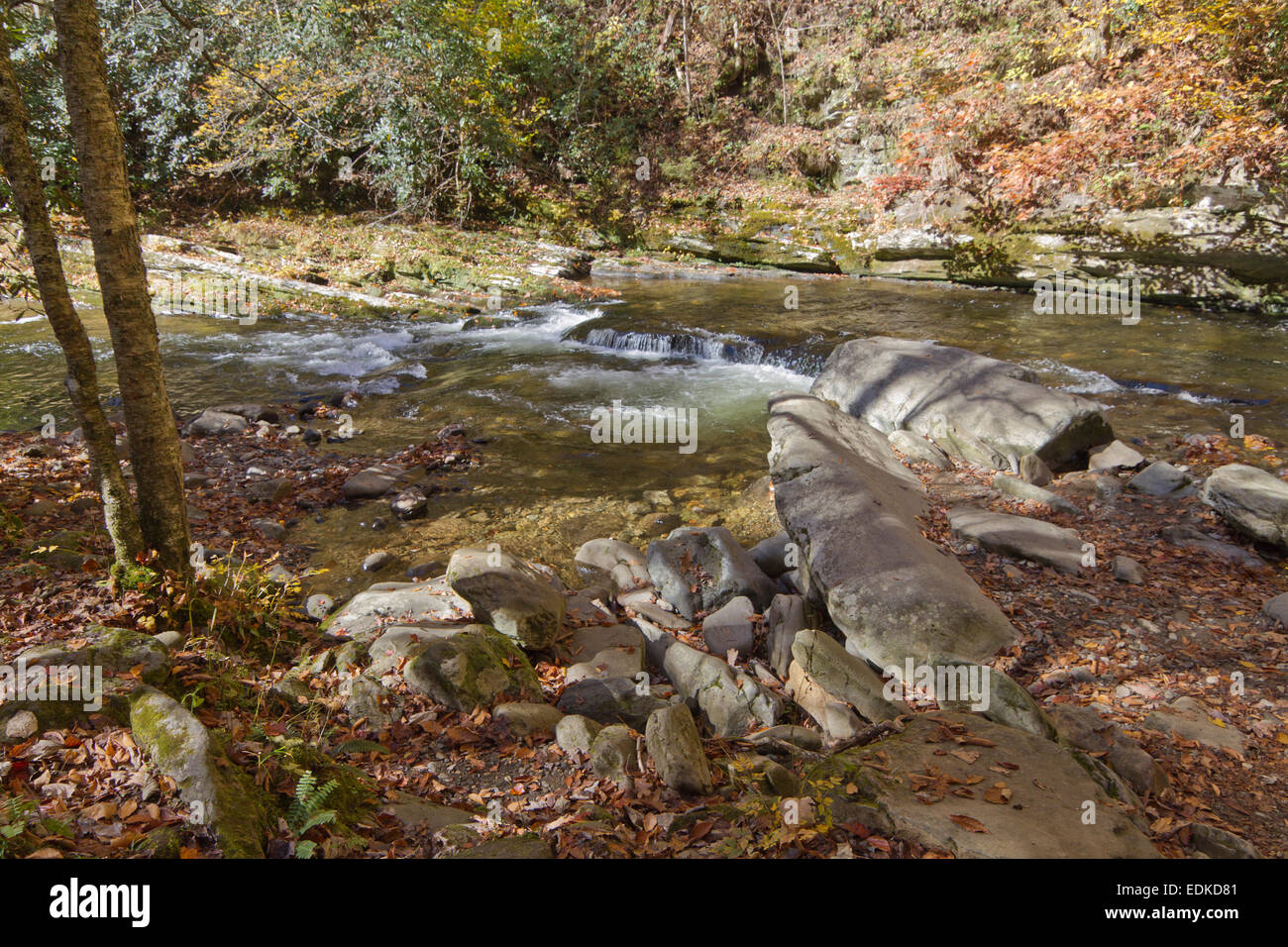 Scenic shot of Deep Creek in autumn in Bryson City, North Carolina Stock Photo