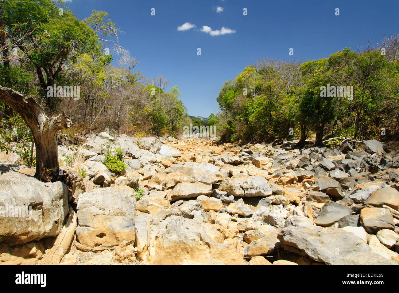 Dry river bed in Madagascar Stock Photo