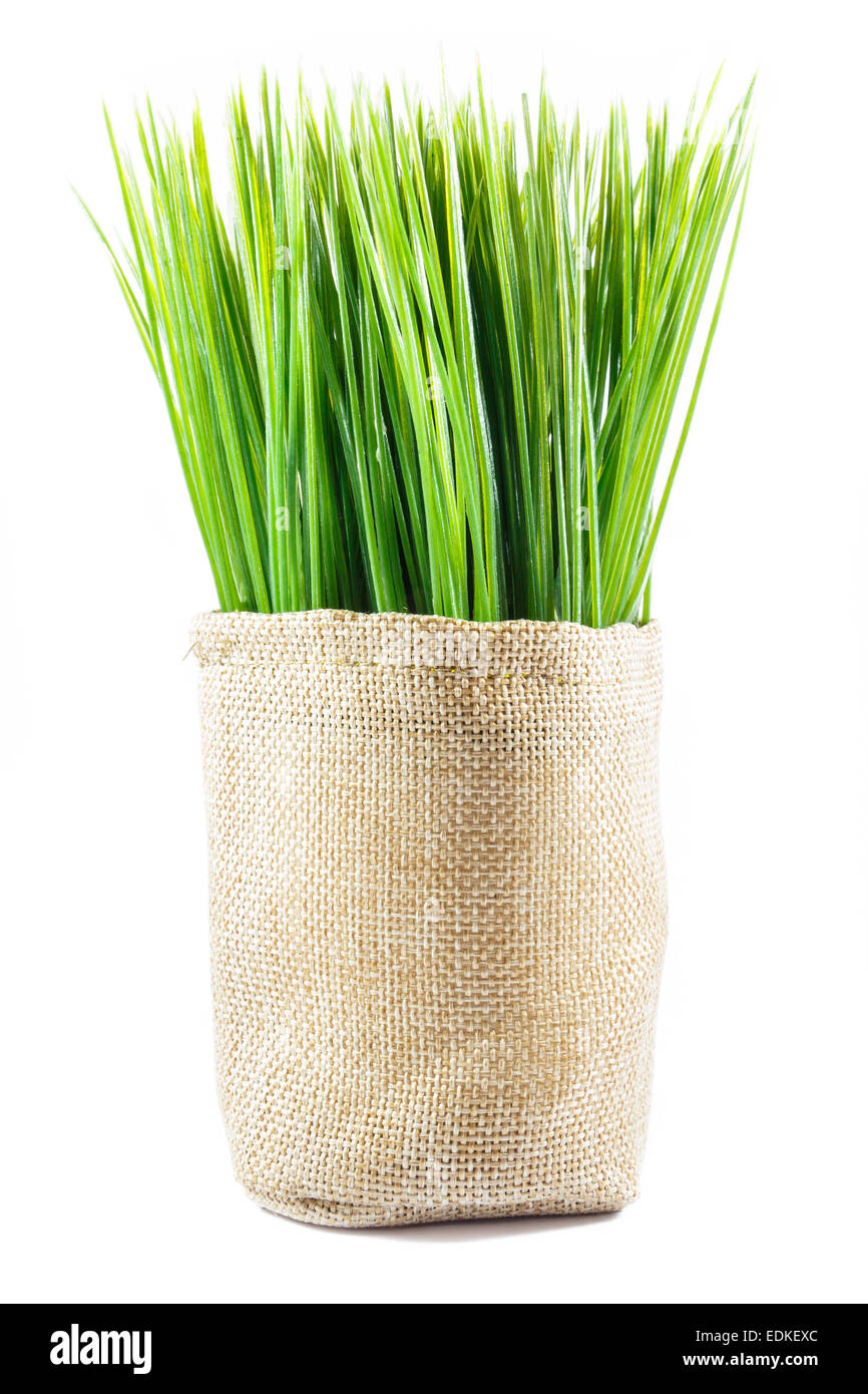artificial grass in sack on white background (isolated) Stock Photo