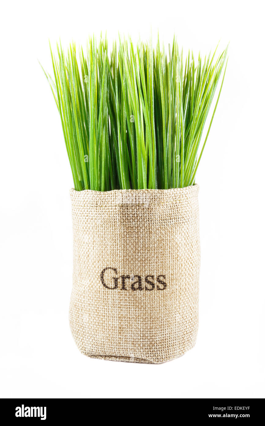 artificial grass in sack on white background (isolated) Stock Photo