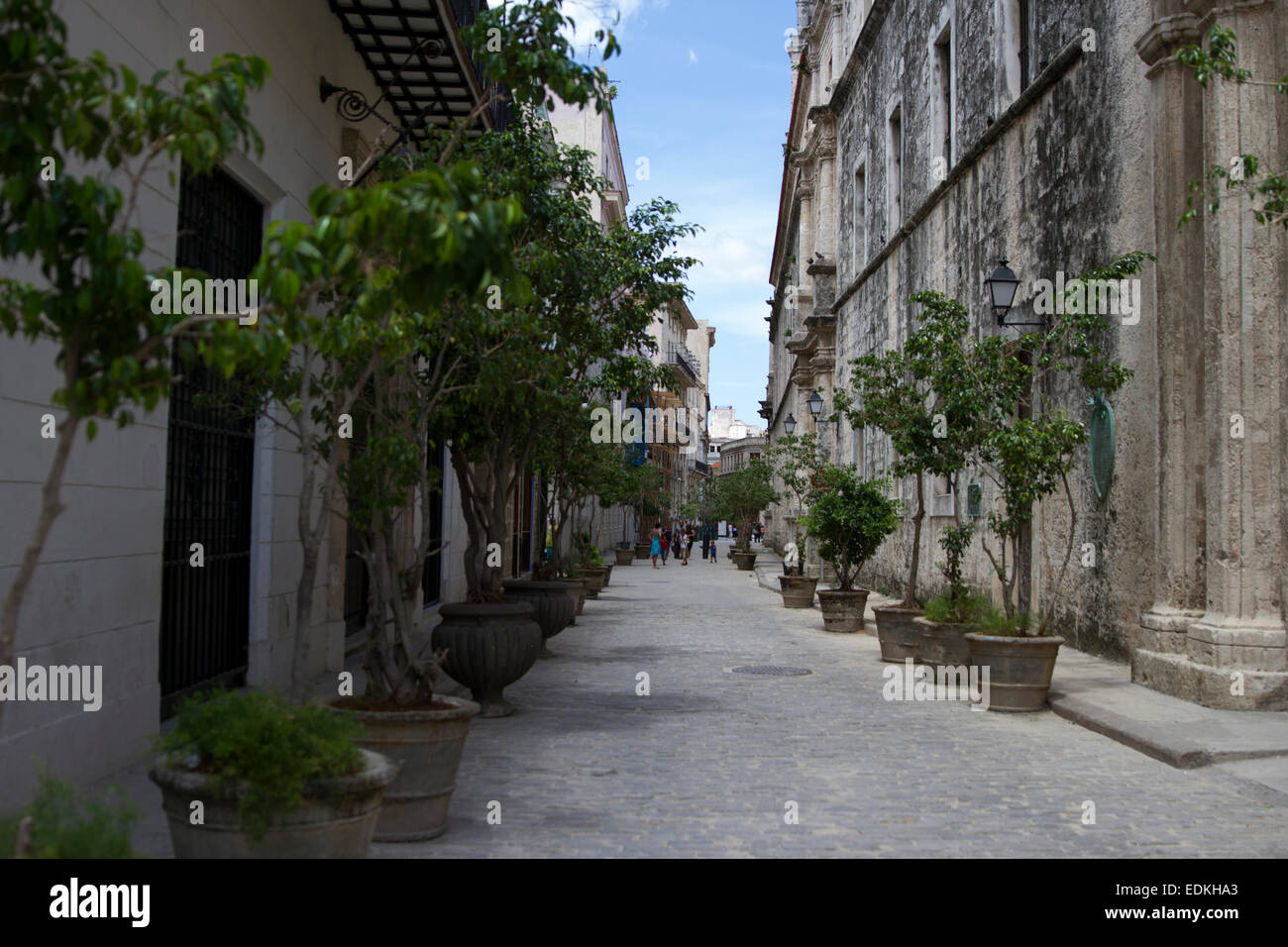 Beautiful Architecture in Havana Stock Photo