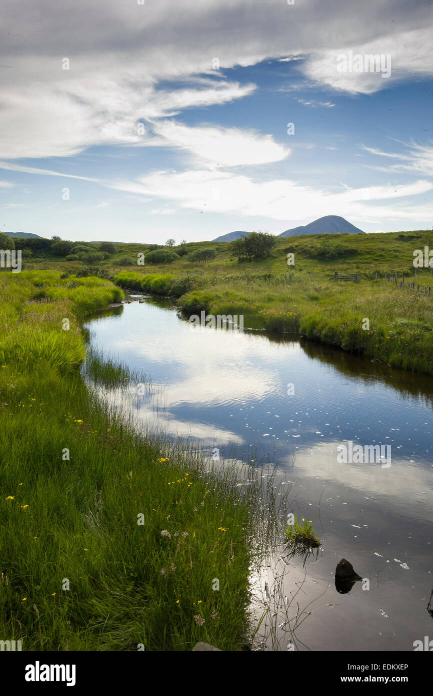 scottish island nature land pool bog summer marsh Stock Photo