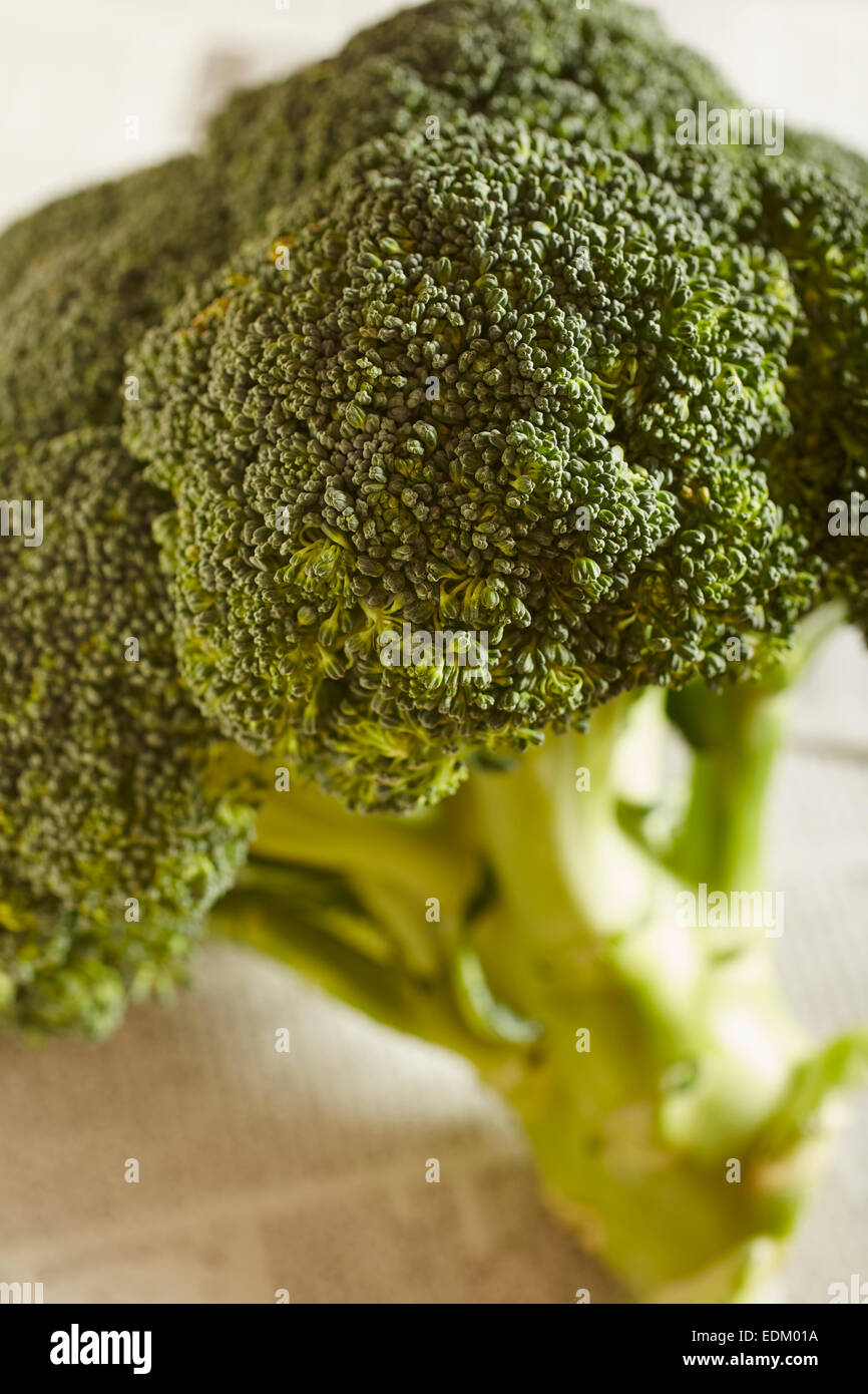 whole head of fresh broccoli Stock Photo Alamy
