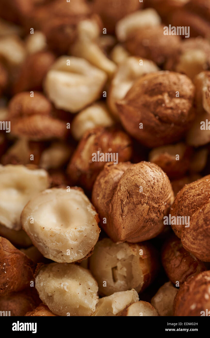 raw, unshelled Hazelnuts Stock Photo