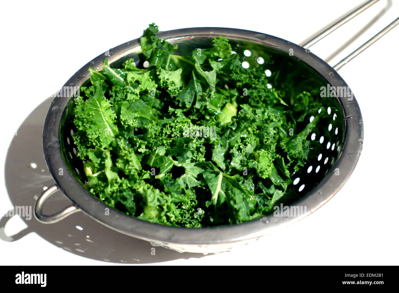 Curly leaf kale is a nutritious green vegetable, London Stock Photo Alamy