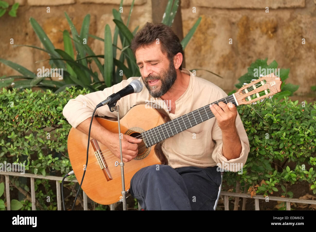 Spanish singer and guitar player performing in the centre of Seville
