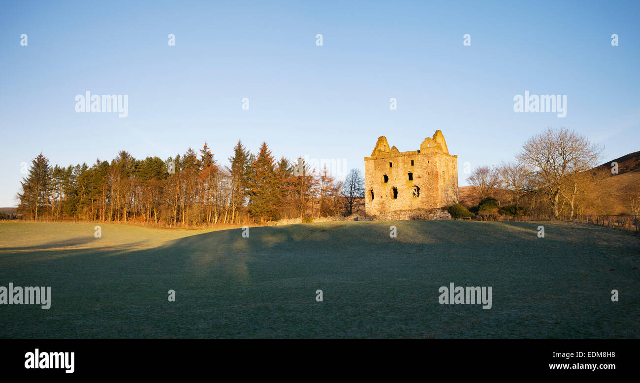 Newark tower in winter. Bowhill House estate, Selkirkshire. Scotland Stock Photo