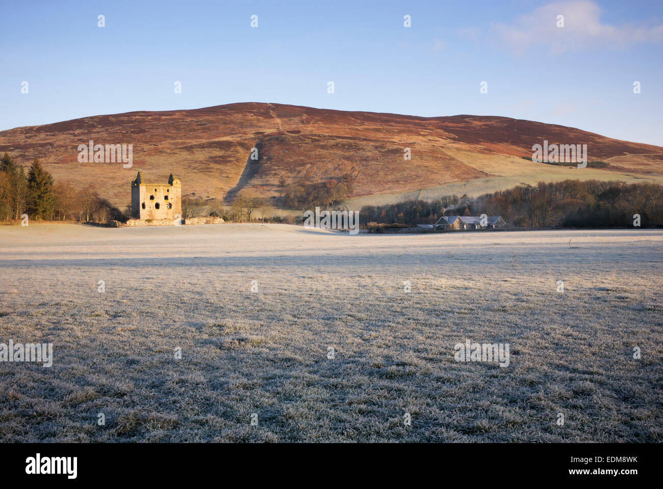 Newark tower in winter. Bowhill House estate, Selkirkshire. Scotland