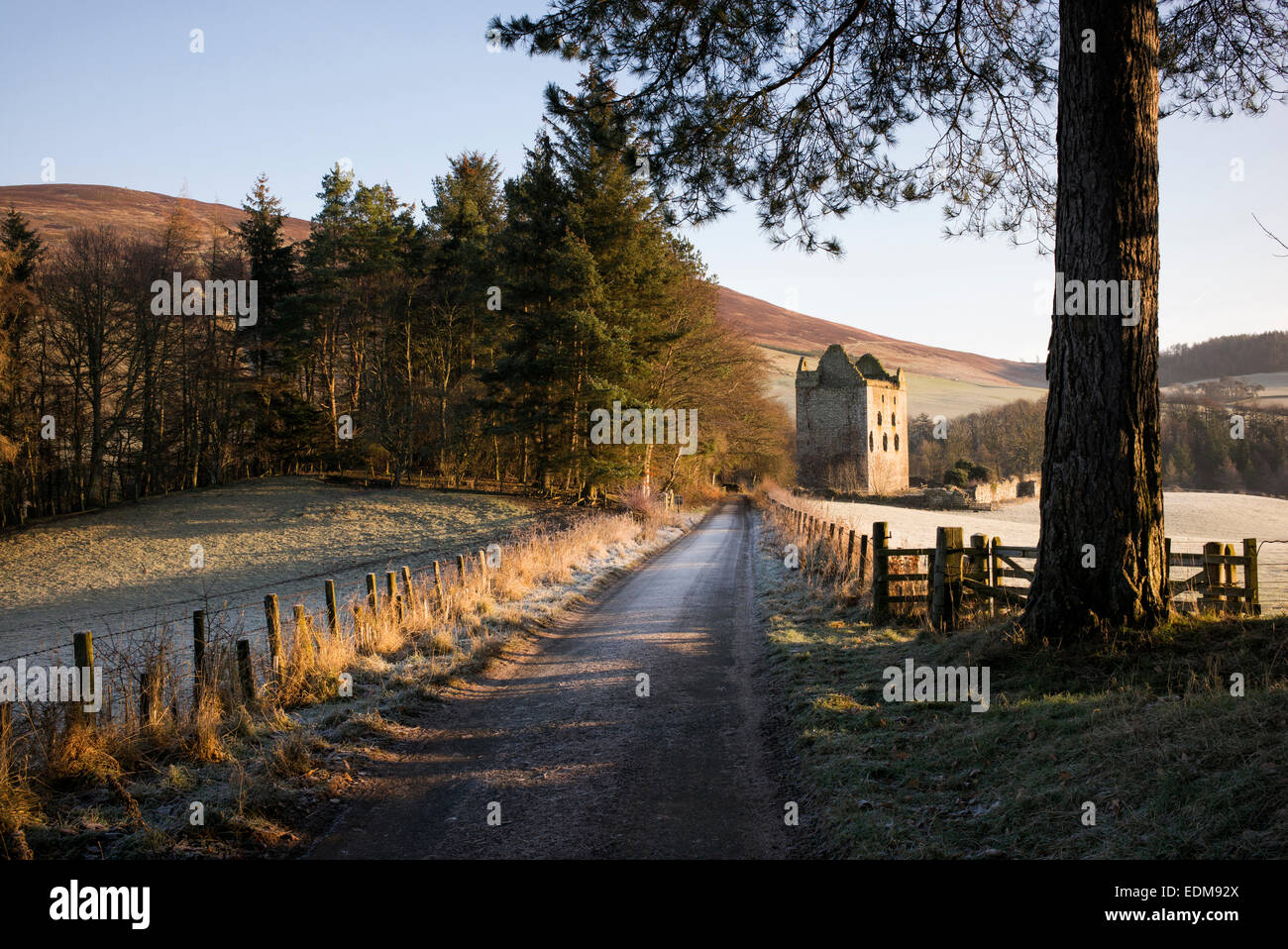 Newark tower in winter. Bowhill House estate, Selkirkshire. Scotland Stock Photo
