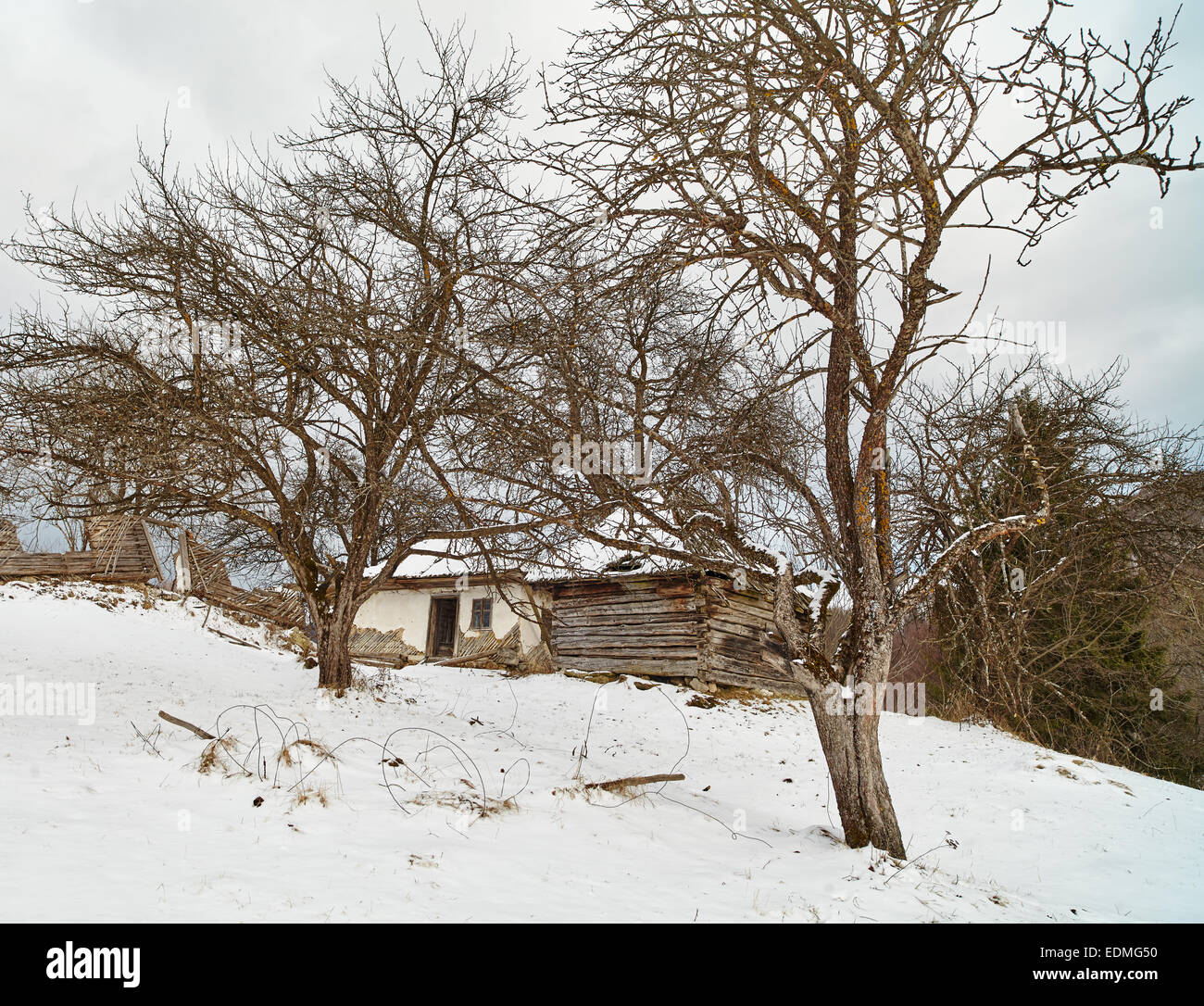 Old ruined abandoned house among trees in the winter Stock Photo - Alamy