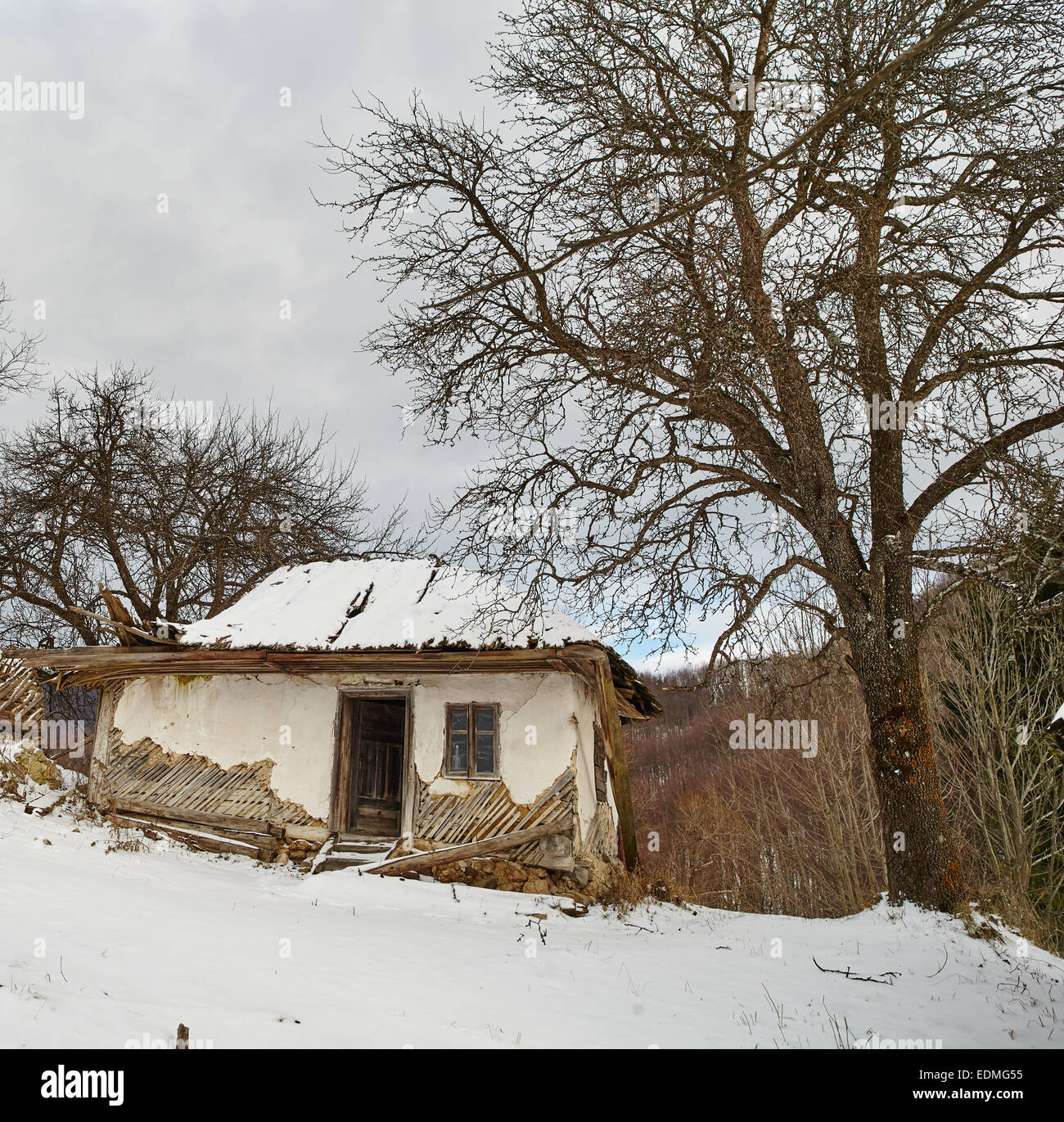 Old ruined abandoned house among trees in the winter Stock Photo - Alamy