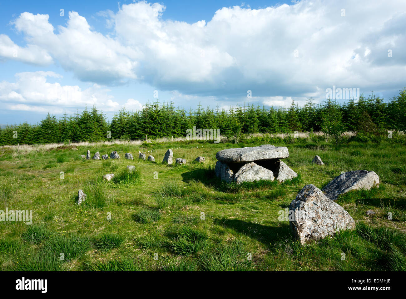 Burial cist and stone row Bellever Dartmoor National Park Devon Uk