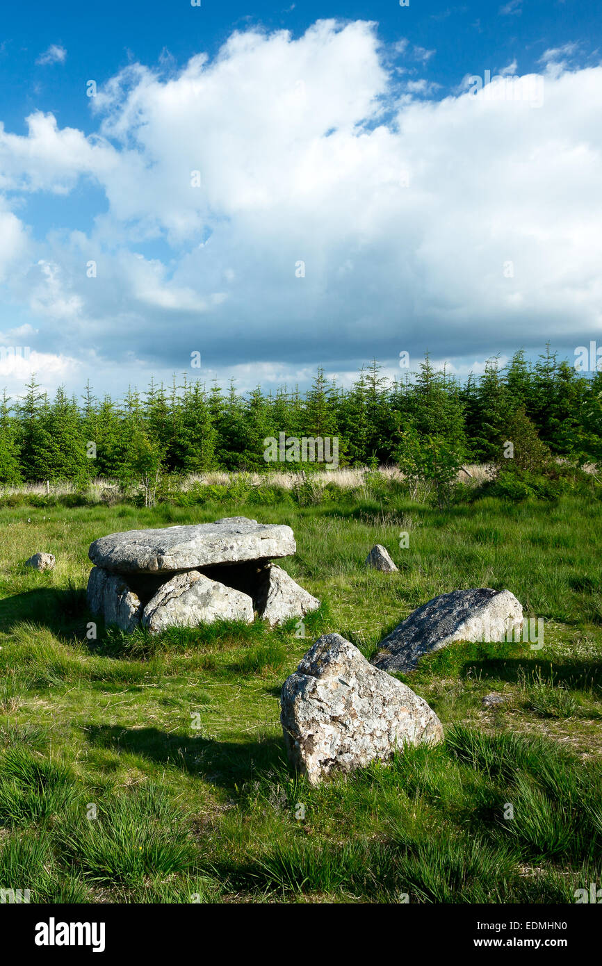 Burial cist Bellever Dartmoor National Park Devon Uk Stock Photo