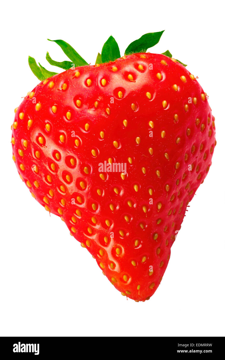 Beautiful ripe red fresh strawberry isolated on white background Stock ...