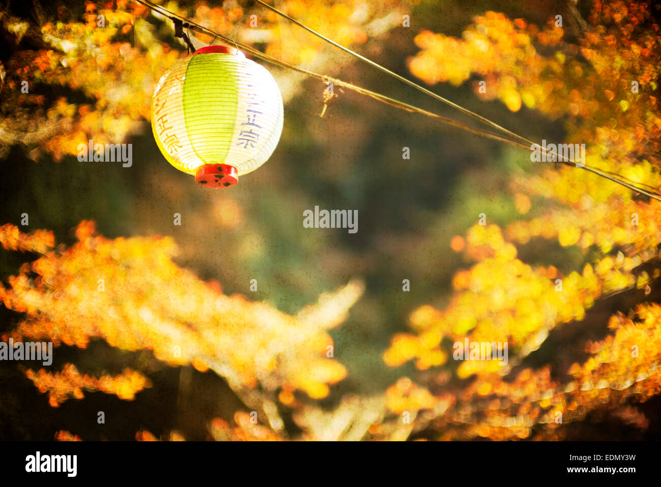 Autumnal scene, Japanese lantern, Japan. Stock Photo