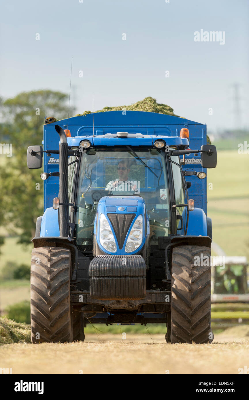 New Holland tractor with big trailer full of new cut grass to make silage. Cumbria, UK Stock