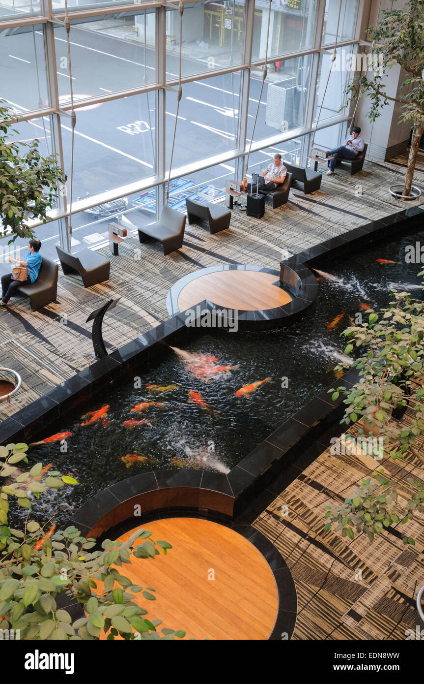 Singapore Changi international airport transit area with carp fish pond. Stock Photo