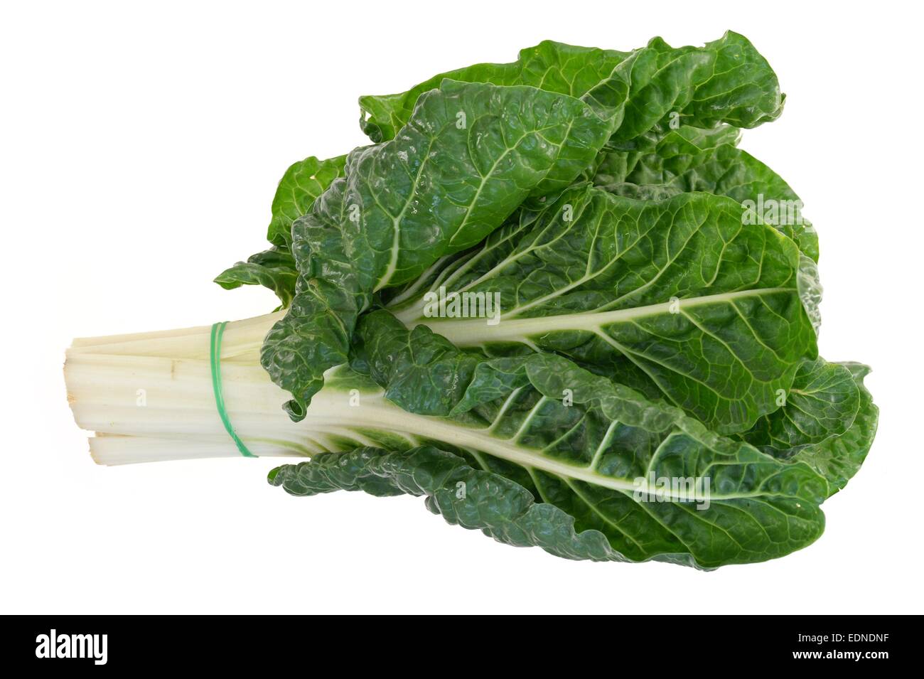 A close up shot of a bunch of spinach Stock Photo Alamy
