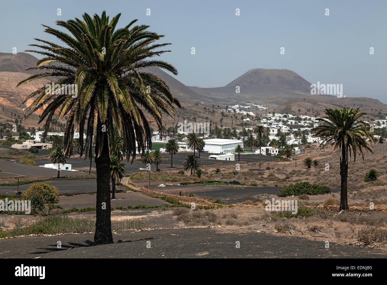 View of Haria, palm trees, lava fields, Lanzarote, Canary Islands, Spain Stock Photo