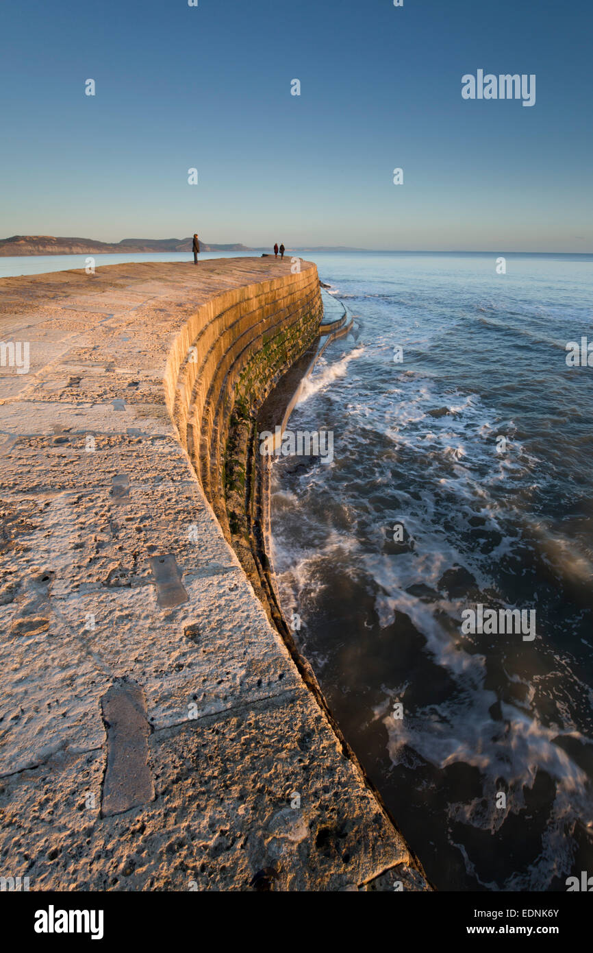 The Cob Lyme Regis Dorset, UK Stock Photo