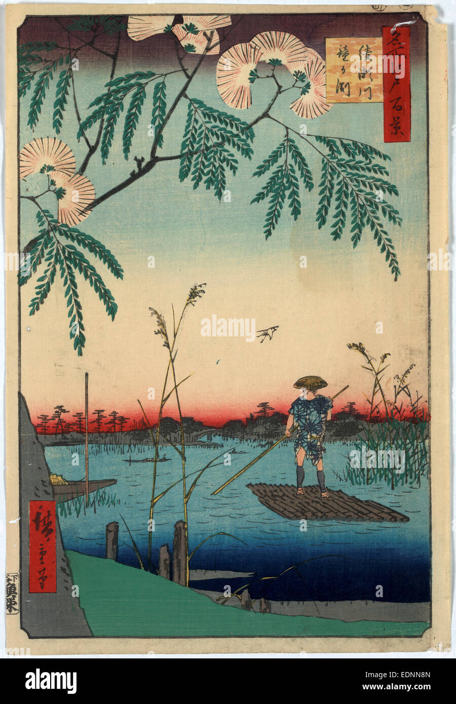 Ayasegawa kanegafuchi, Ayase River and Kanegafuchi., Ando, Hiroshige, 1797-1858, artist, 1857., 1 print : woodcut, color ; 35.5 x 24.2 cm., Print shows a man poling a raft among reeds in marsh area of river with blossoming mimosa(?) tree in the foreground. Stock Photo