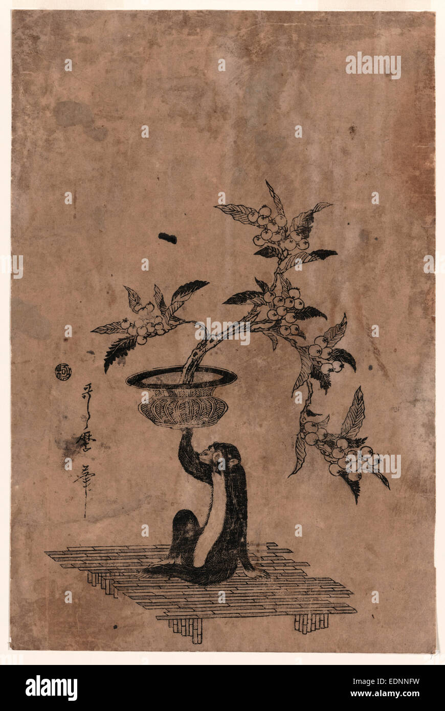 Saru no hanaike ni biwa, Monkey holding a potted loquat., Utamaro II, -approximately 1831, artist, [between 1807 and 1812], 1 print : woodcut, color ; 35 x 23.2 cm., Print shows a monkey sitting on a bamboo mat with right hand raised, holding a flower pot containing a loquat plant laden with fruit. Stock Photo