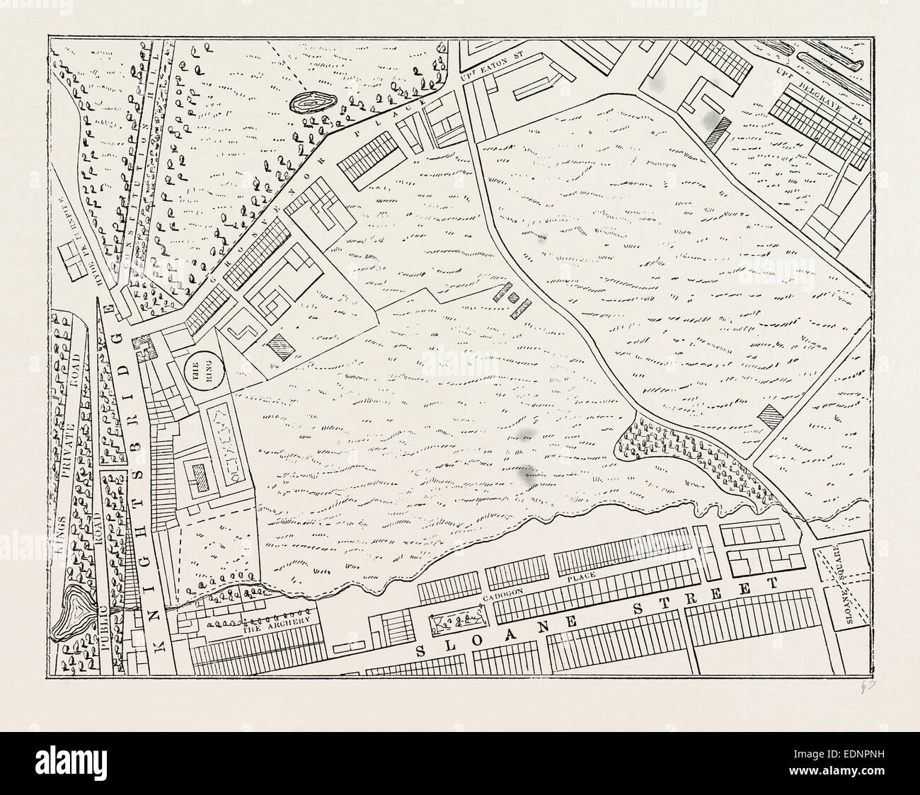 MAP OF BELGRAVIA, 1814. London, UK, 19th century engraving Stock Photo