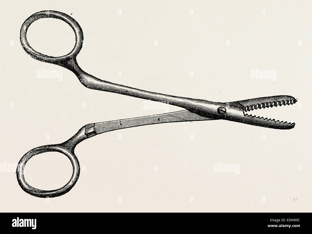 spencer wells's artery forceps, medical equipment, surgical instrument, history of medicine Stock Photo