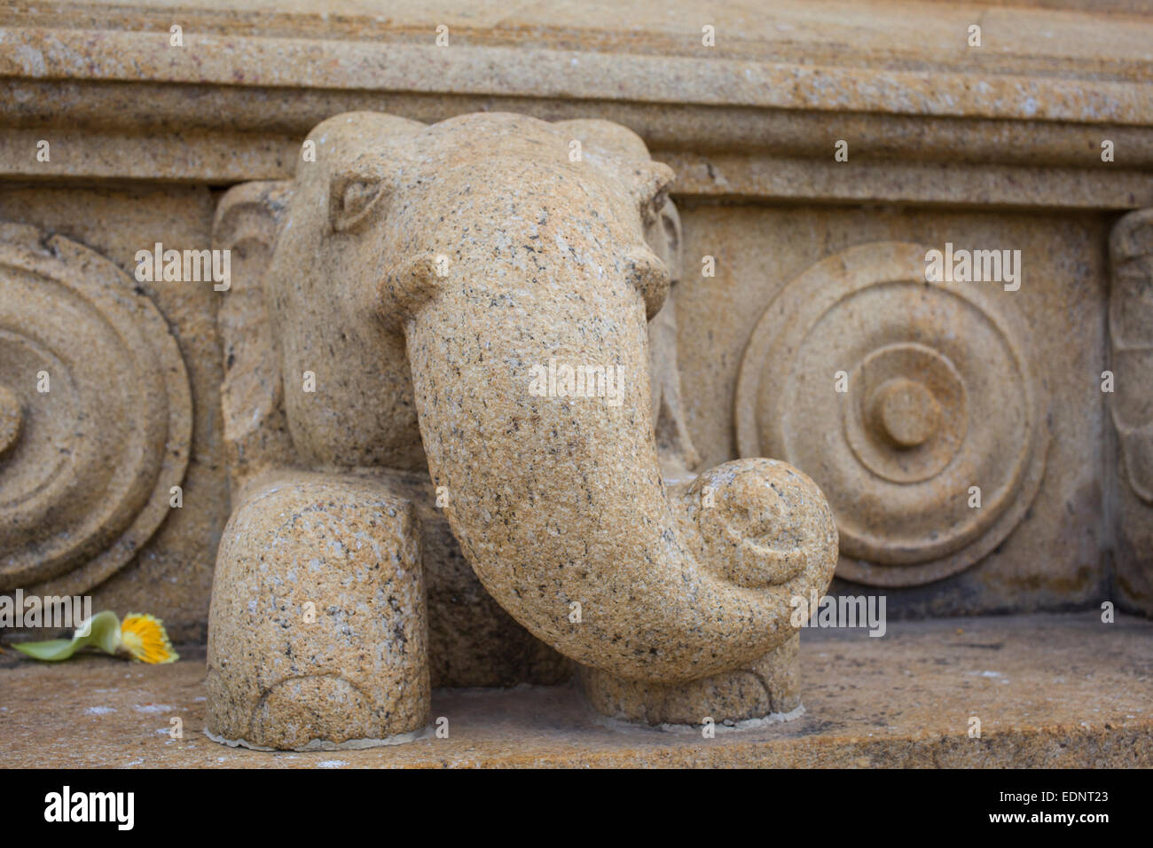Stone elephants bas-relief, architecture detail on sacred stupa Stock Photo