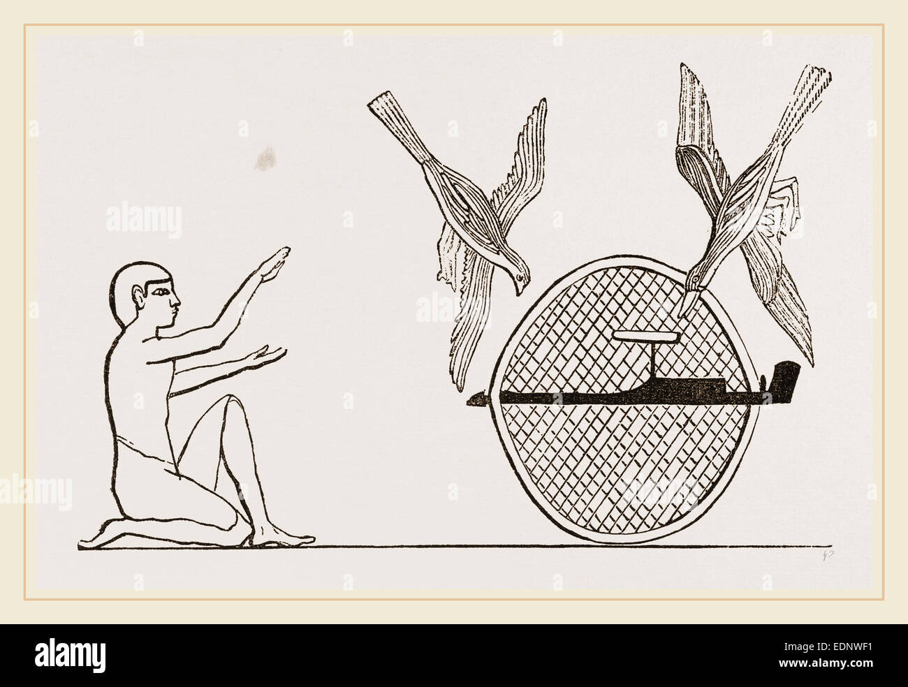 of Ancient Egyptians for Birdcatching, Egypt Stock Photo Alamy