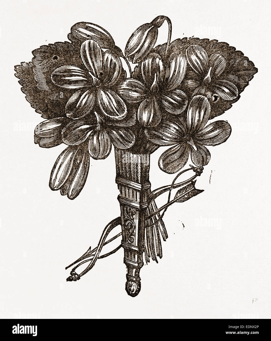 FLOWERHOLDER, NEEDLEWORK, 19th CENTURY Stock Photo Alamy