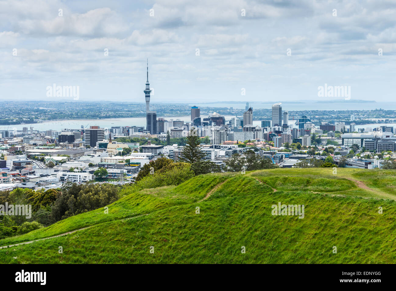 Auckland skyline looking from the top of Mount Eden Stock Photo