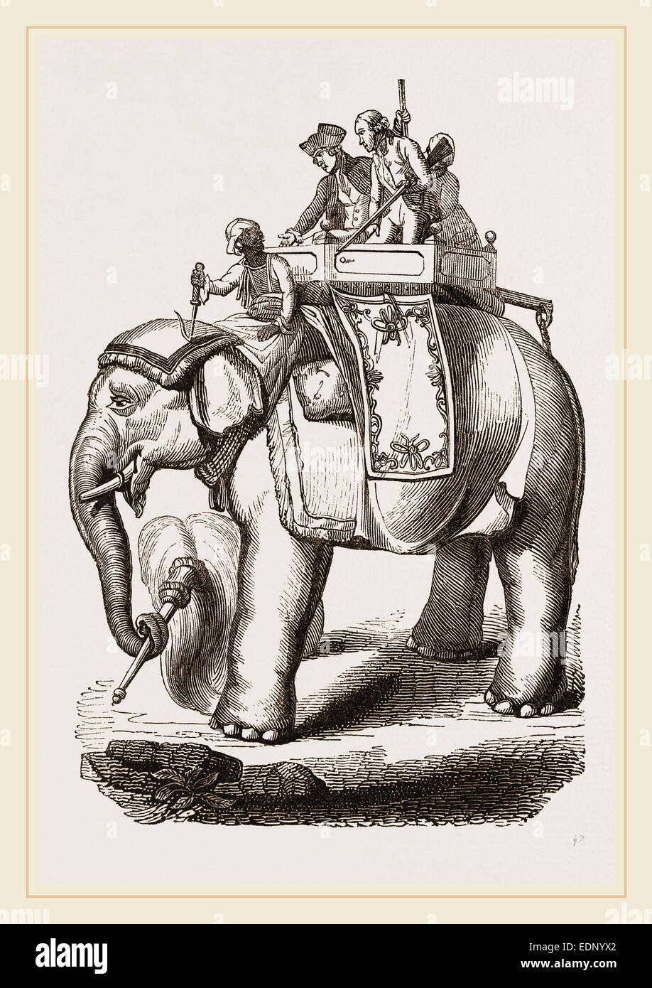Warren Hastings' Elephant Stock Photo