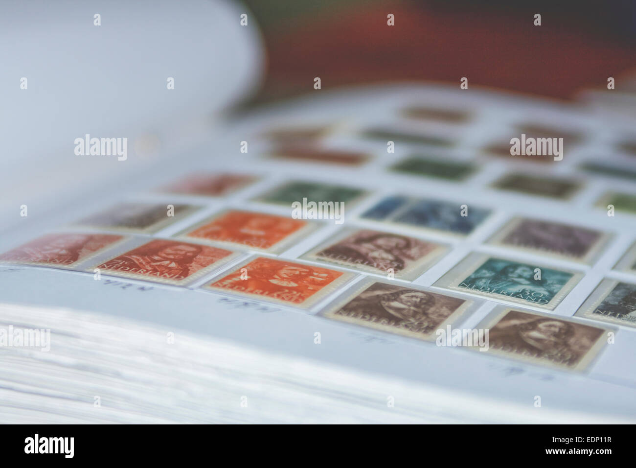 old dutch stamps in album Stock Photo