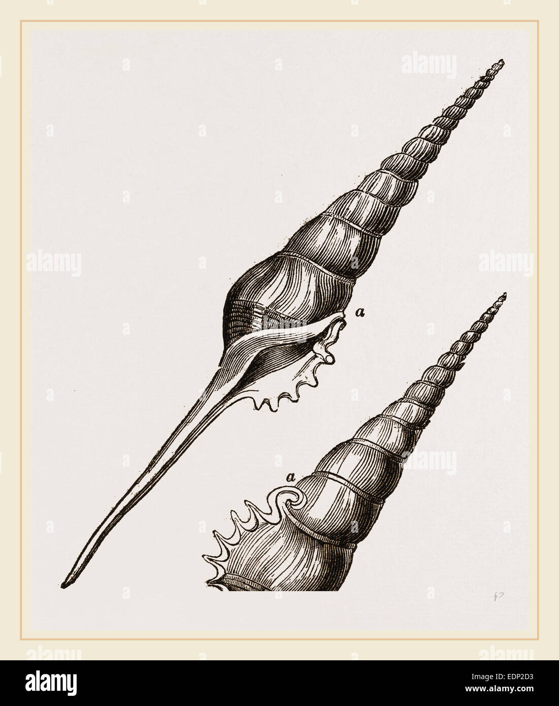 Chinese spindle hires stock photography and images Alamy