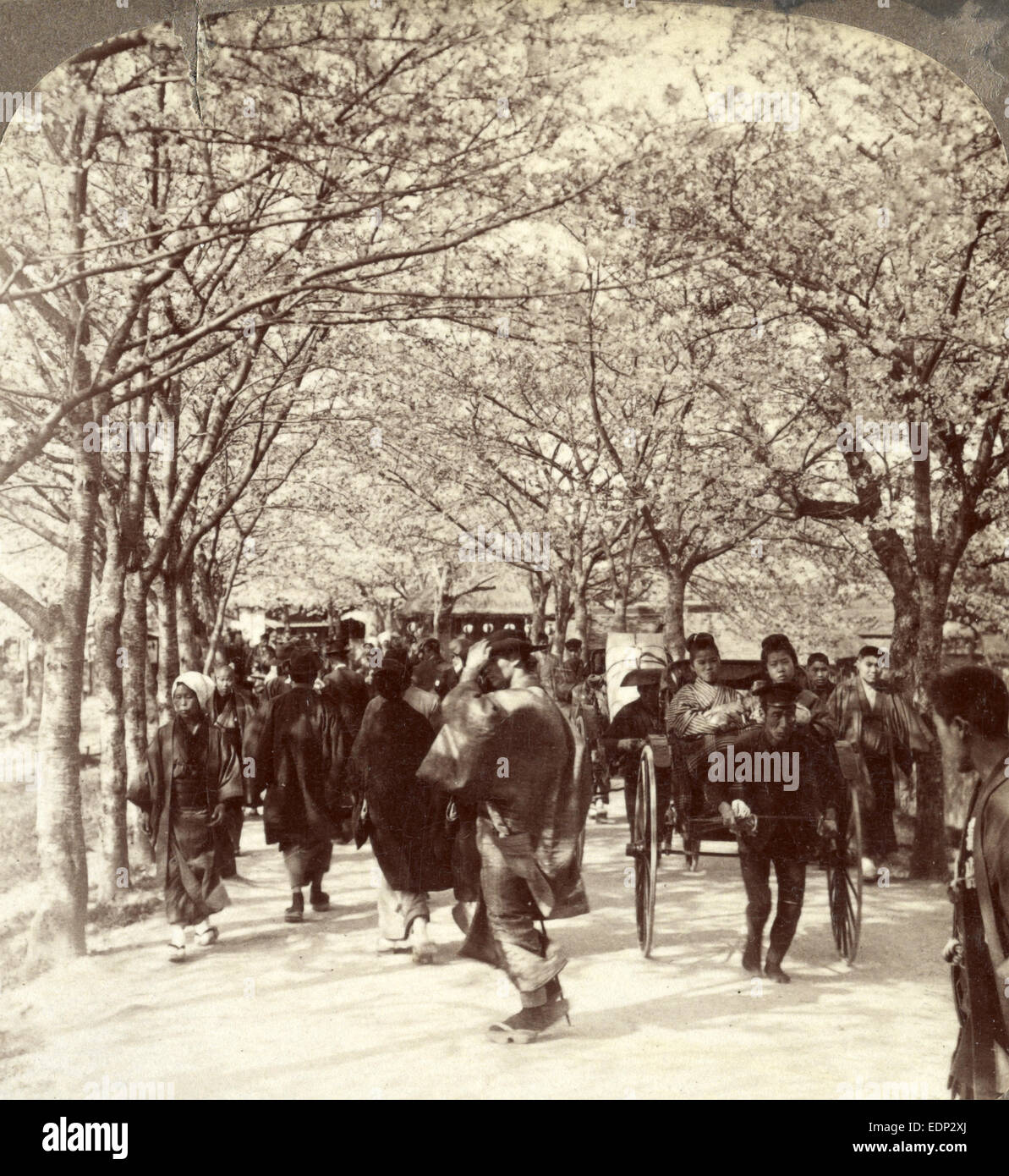 Mukojima avenue hires stock photography and images Alamy