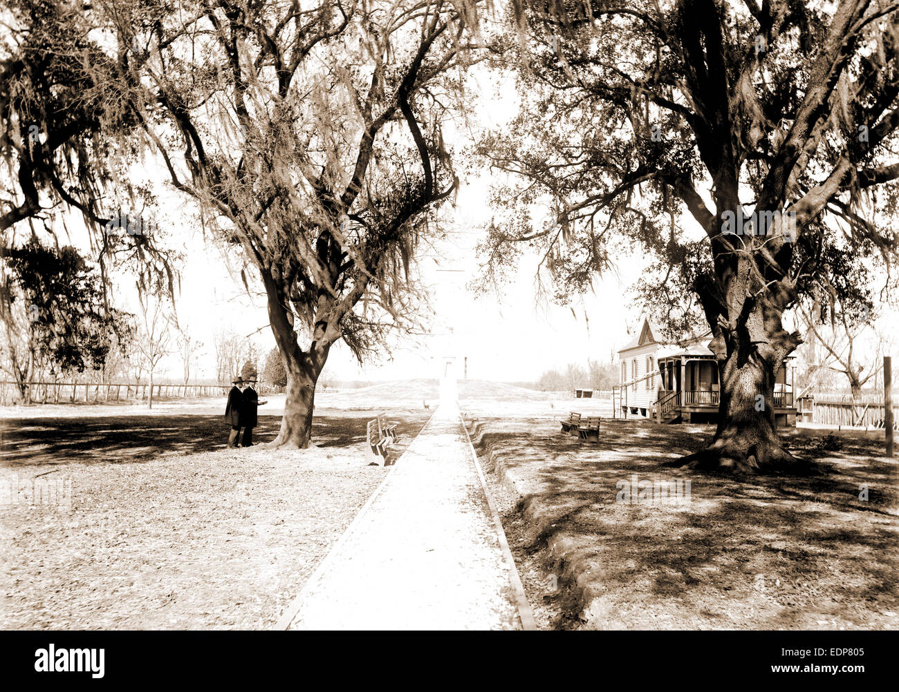Infinite Photographs Photo Chalmette Oaks,Battle Monument,battlefields,memorials,New Orleans,LA,c1905