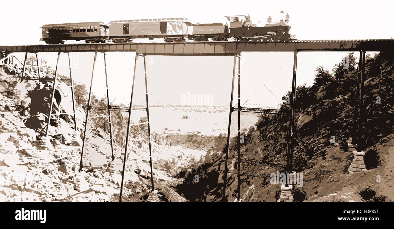 High bridge near Buena Vista, Jackson, William Henry, 18431942