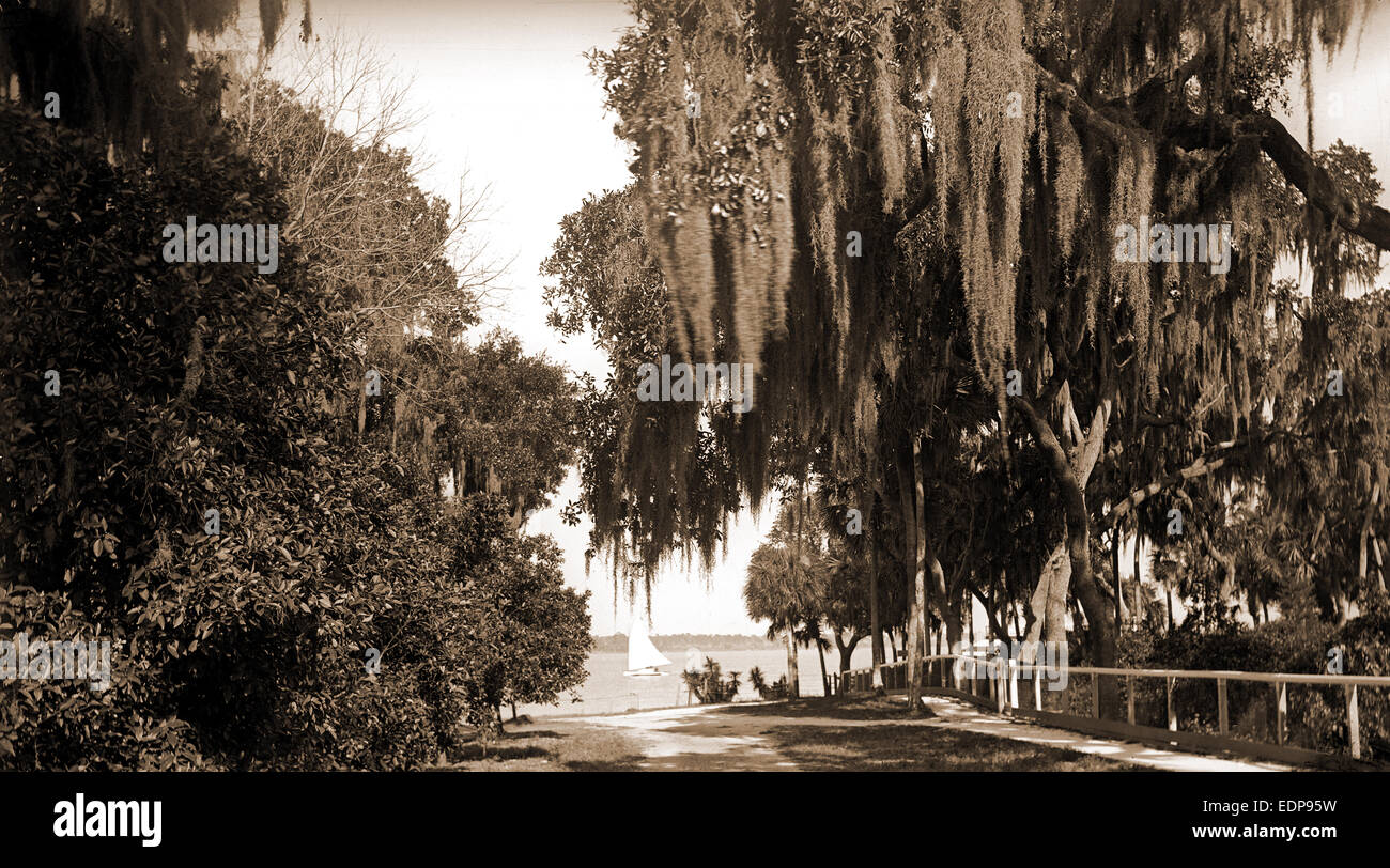 Indian River At Rockledge Fla Waterfronts Roads United States