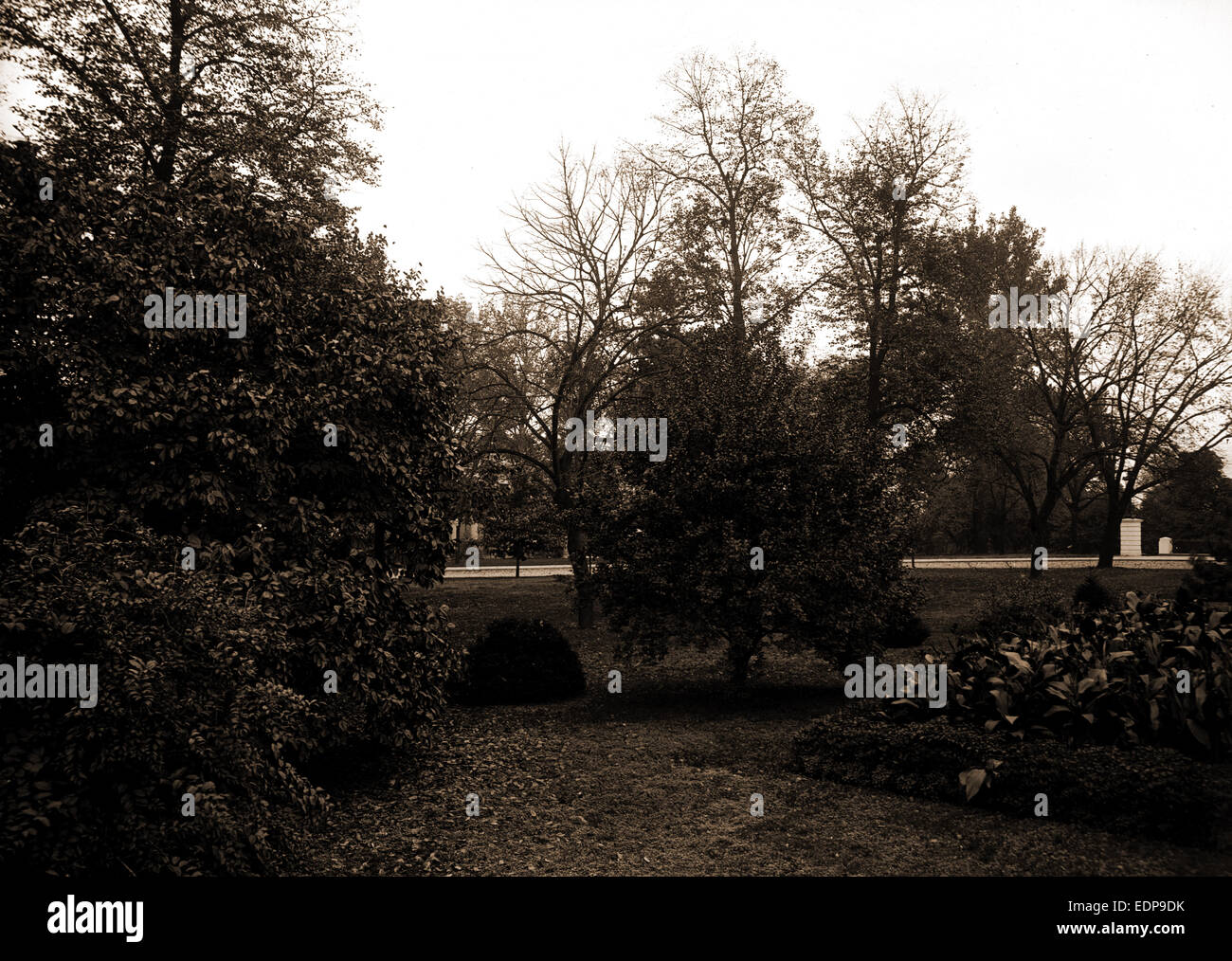 THE WHITE HOUSE visual data 8