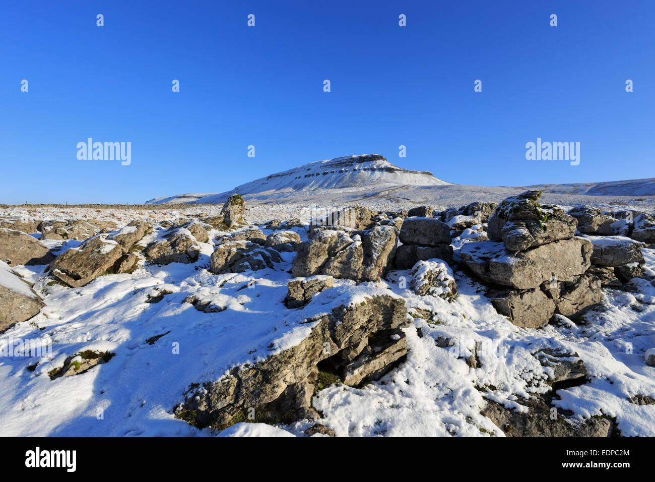 Limestone pavement below a snowy Pen-y-ghent on the Pennine Way, Yorkshire Dales National Park, North Yorkshire, England, UK. Stock Photo