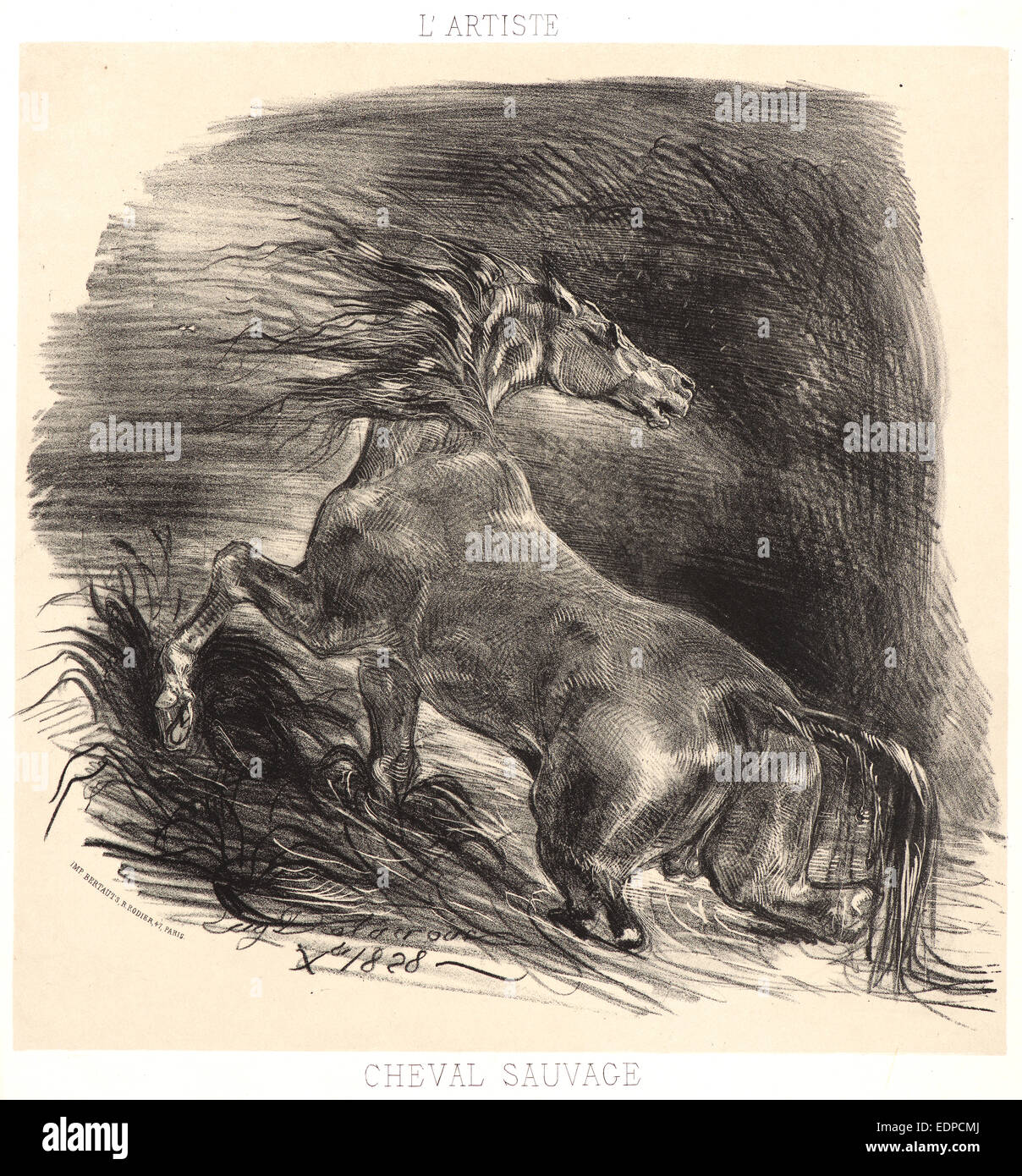 Eugène Delacroix (French, 1798 - 1863). A Wild Horse Emerging from Water (Cheval sauvage sortant de l'eau), 1828. Lithograph Stock Photo