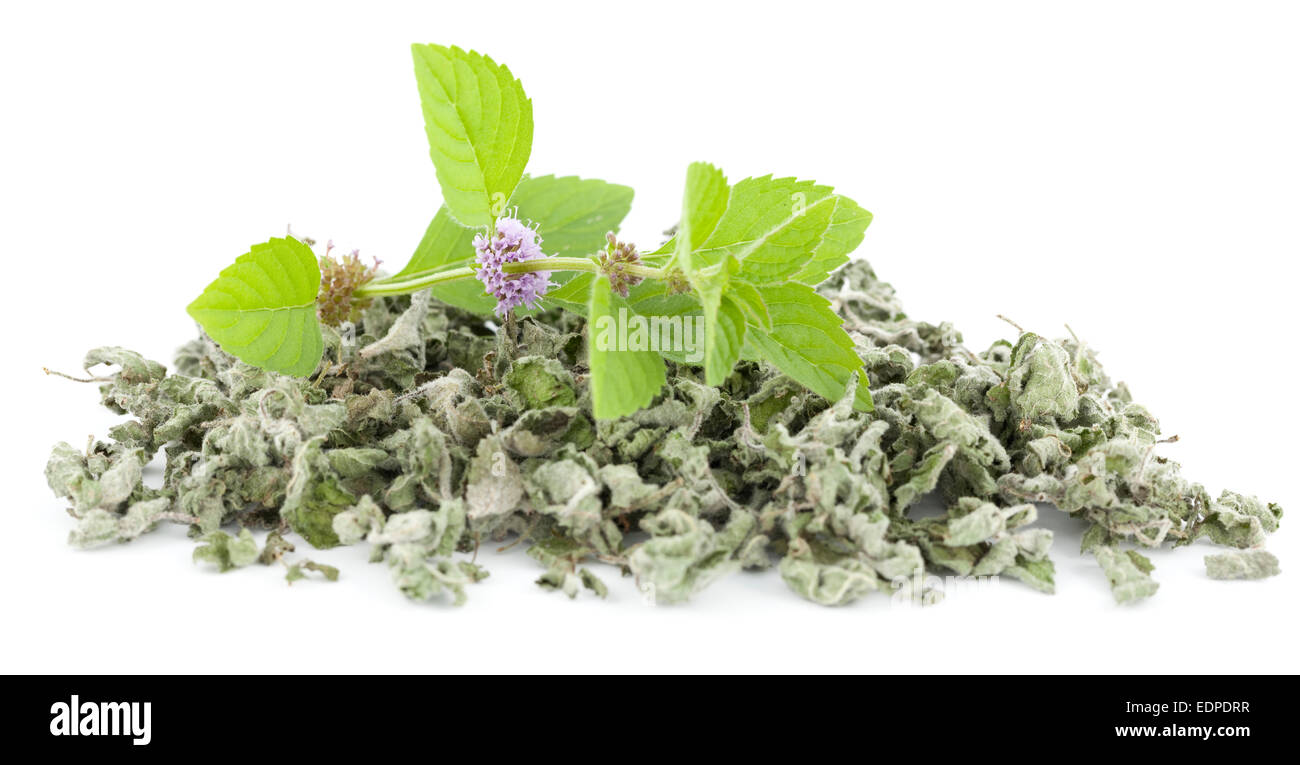 fresh and dry spearmint on white background Stock Photo