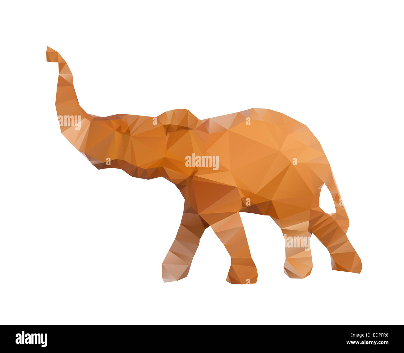 Polygonal illustration of head of elephant isolated on white background Stock Photo
