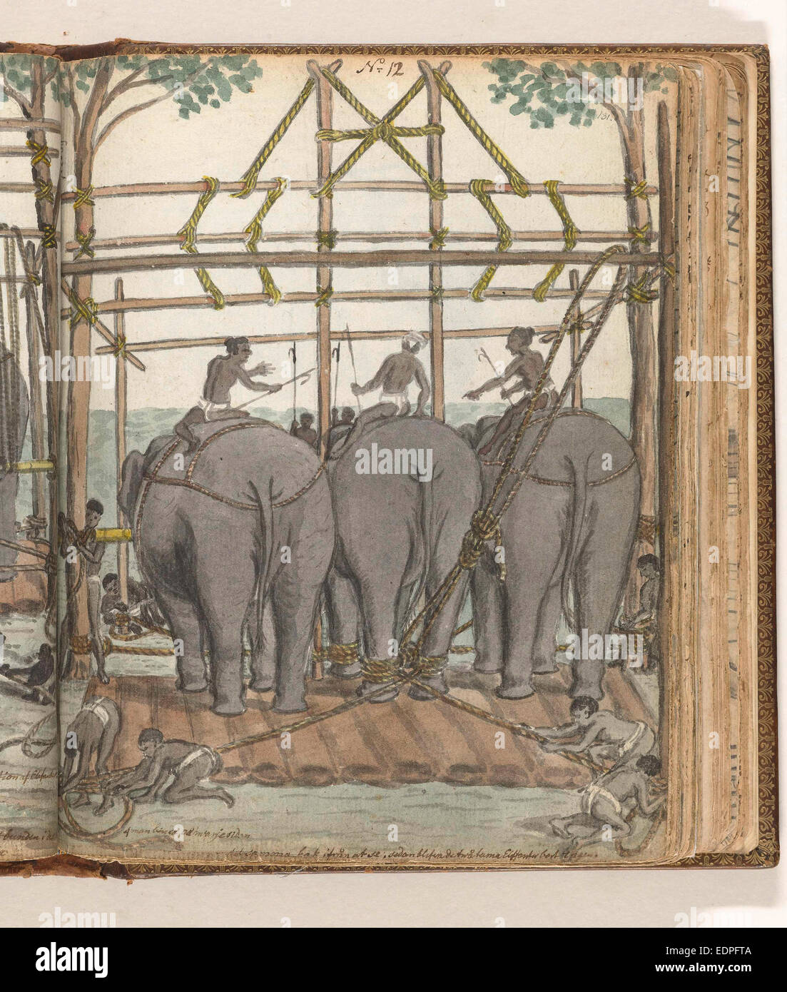 Elephants, Jan Brandes, 1785 Stock Photo